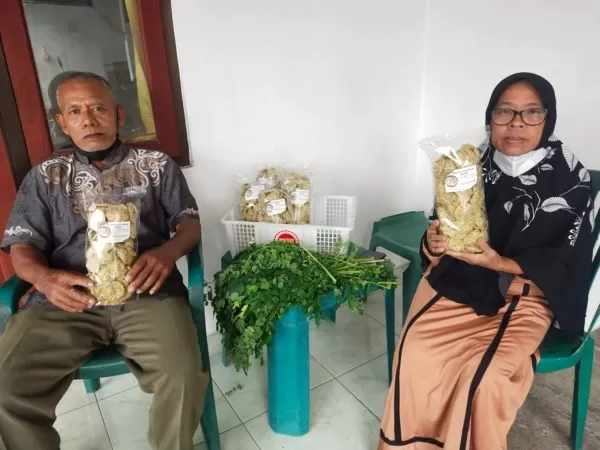 Pendampingan Olahan Daun Kelor di Desa Curahkalong Bangsalsari Jember